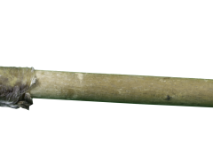 Elk Ladle